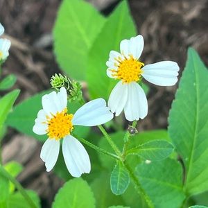 Meet your Posher, Skylar